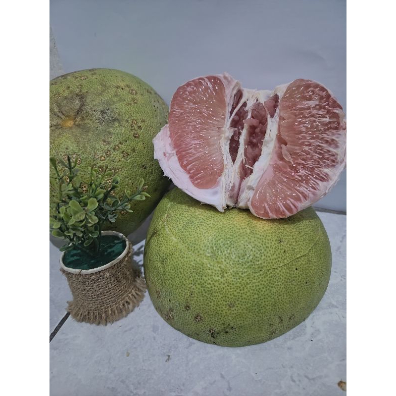 

jeruk Bali pamelo 700-900gram