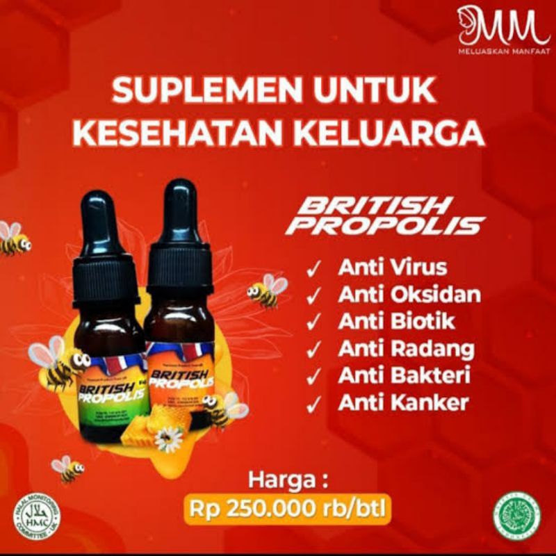 British Propolis Distributor Kalimantan