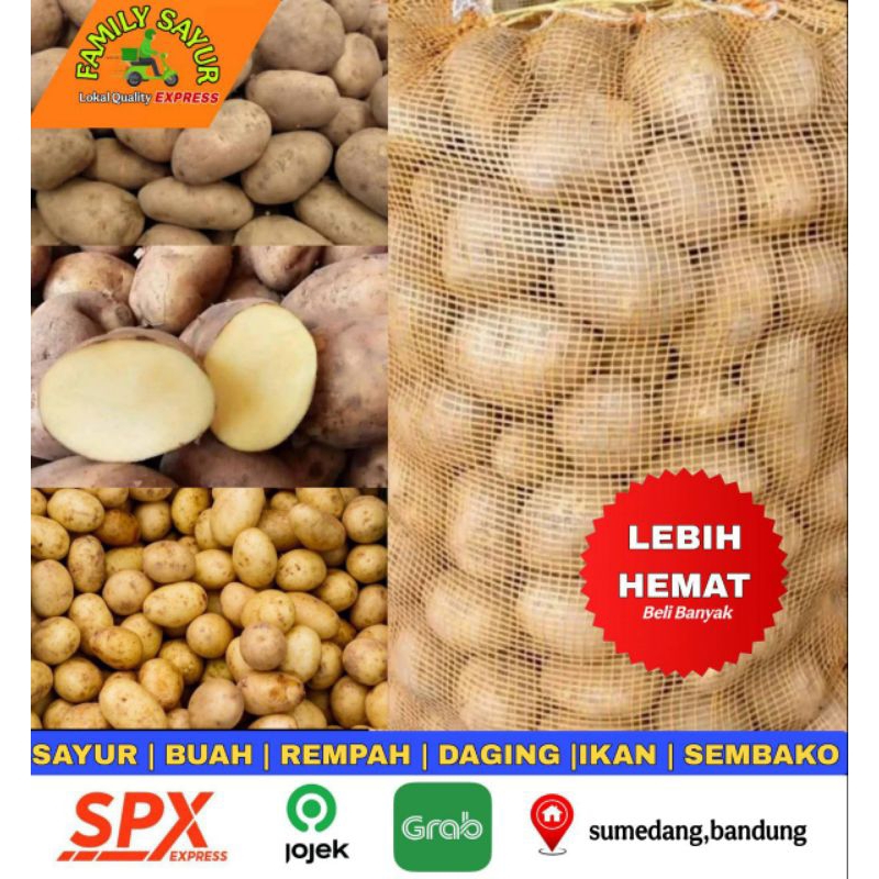 

Kentang Dieng 500gram | Kentang Baby | Kentang Besar | Kentang Lokal | Kentang pangalengan