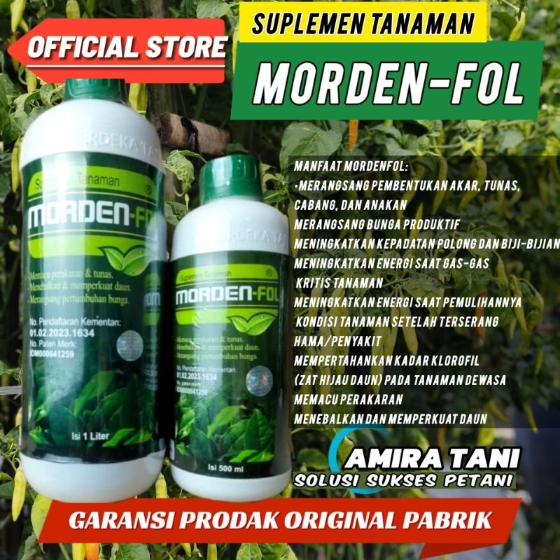 PUPUK MORDEN FOL pertumbuhan tanaman