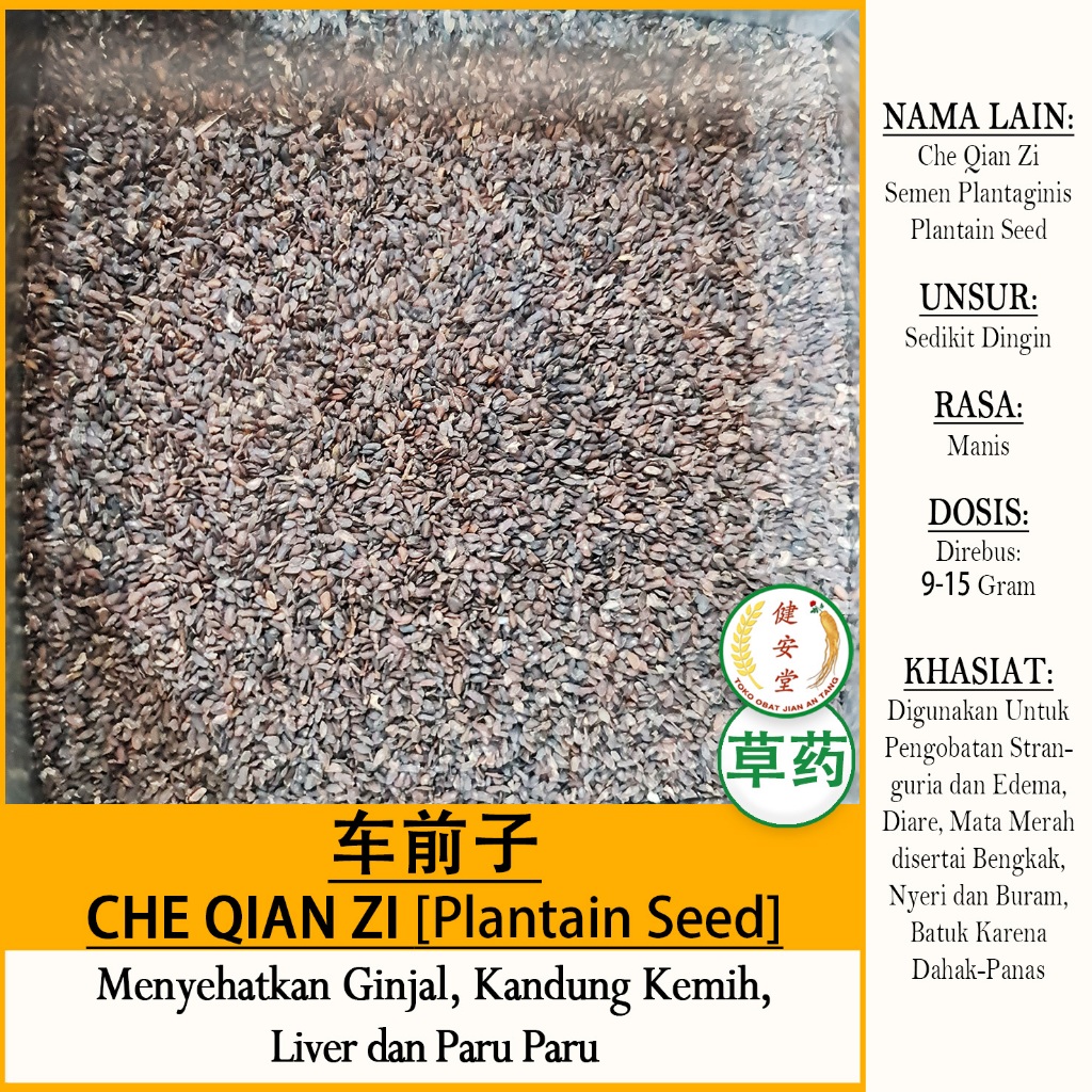 

CHE QIAN ZI - Plantain Seed [Plantago Asiatica Semen 车前子] Herbal TCM Per 100 Gram