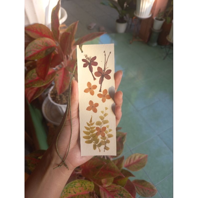 

kak winnie - gift