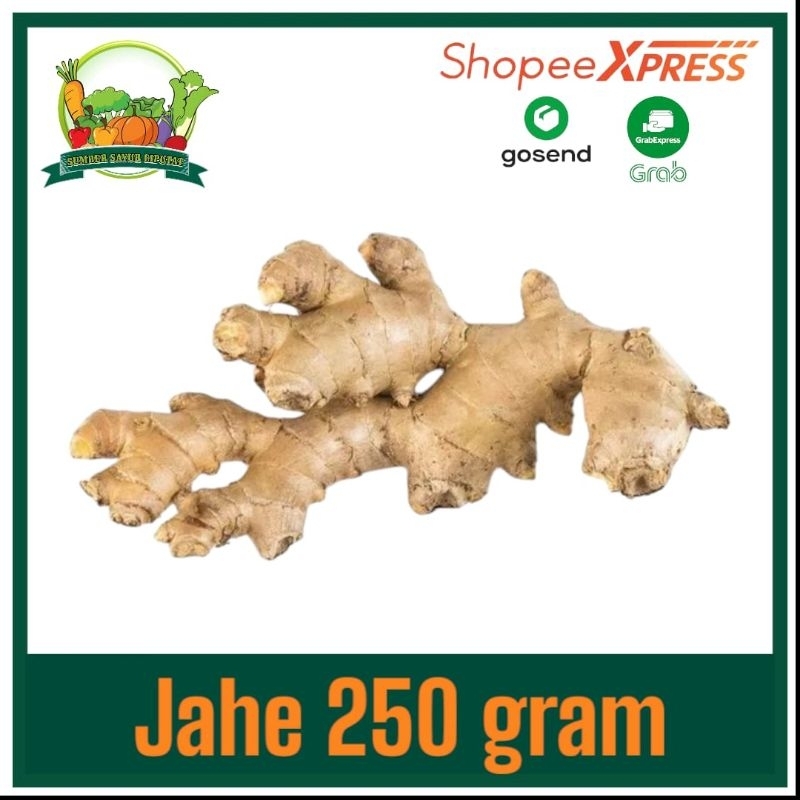 

Jahe segar 250 gram - KIRIM INSTAN