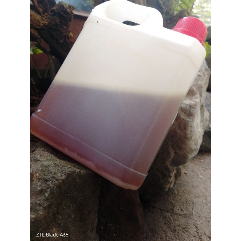 

madu randu 100%murni dengan kemasan 1kg