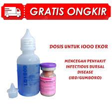 VAKSIN AYAM MEDIVAC GUMBORO B 100DS VAKSIN AYAM USIA 10 HARI MENCEGAH AYAM UNGGAS SAKIT GUMBORO