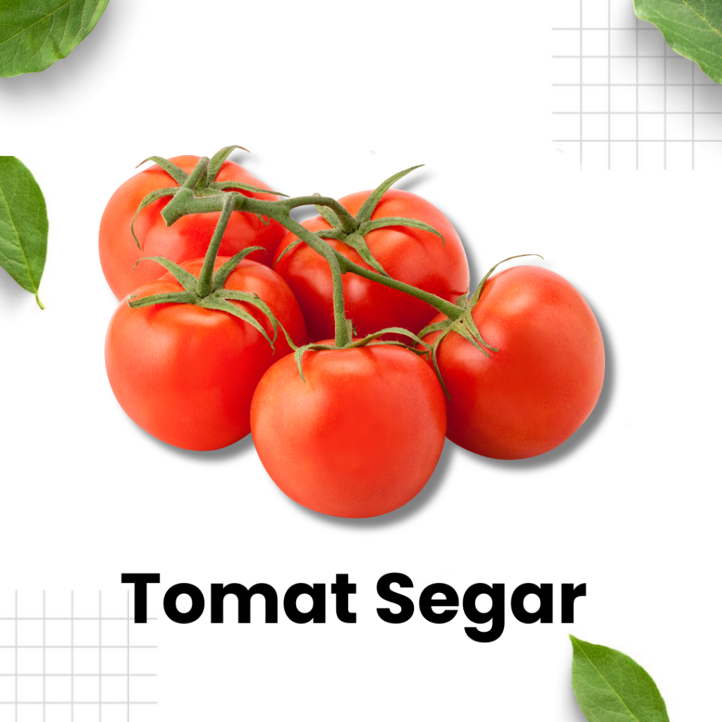 

Tomat Merah Segar / sayuran tomat / sayuran segar / tomat merah / sayuran hijau