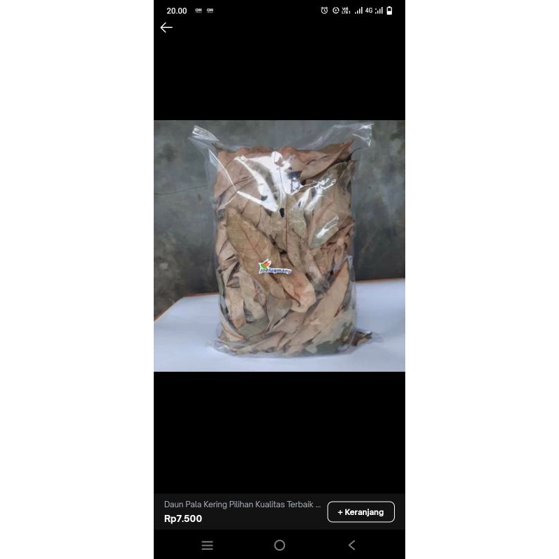 

Daun pala kering pilihan kualitas terbaik.100grm