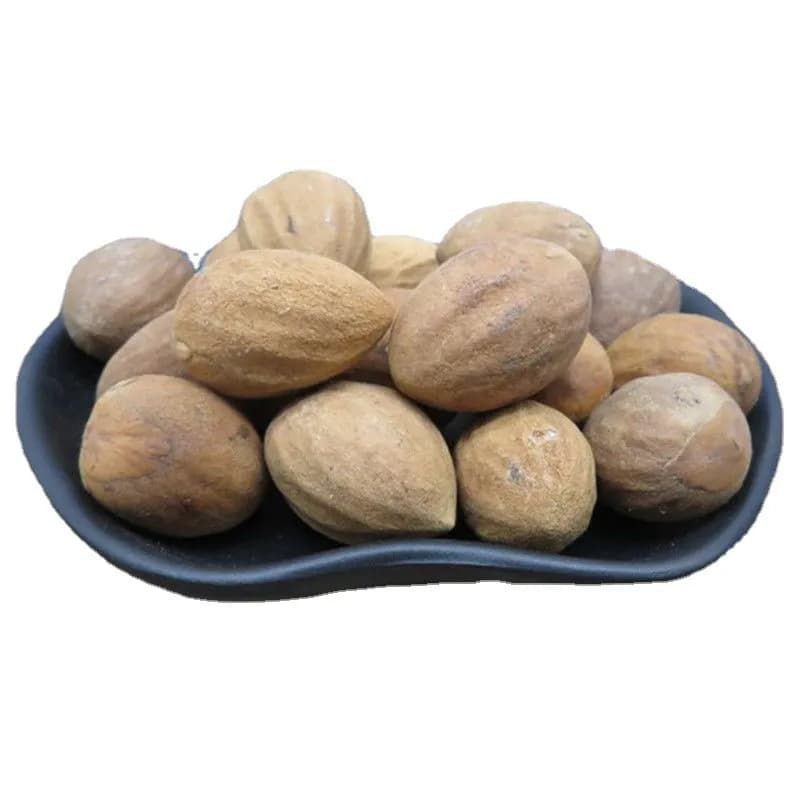 

Ba Dou Ren/ 芭豆仁/ Biji Pala