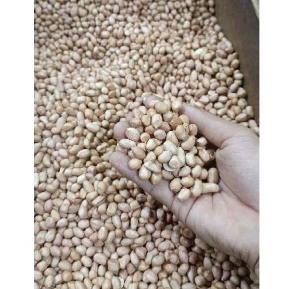 

kacang tanah/kacang tuban 500gram