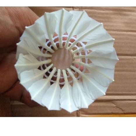 SHUTTLECOCK POLOS GRADE C