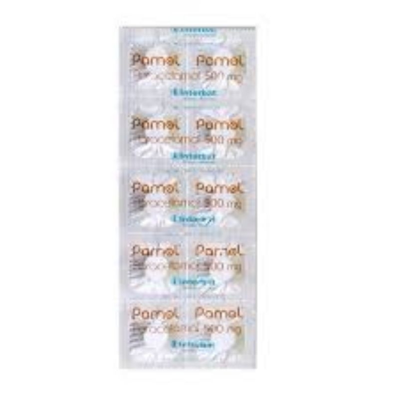 pamol paracetamol 500 mg