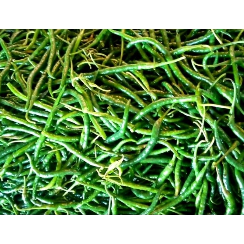 

Cabai Keriting Hijau Segar 500 gram