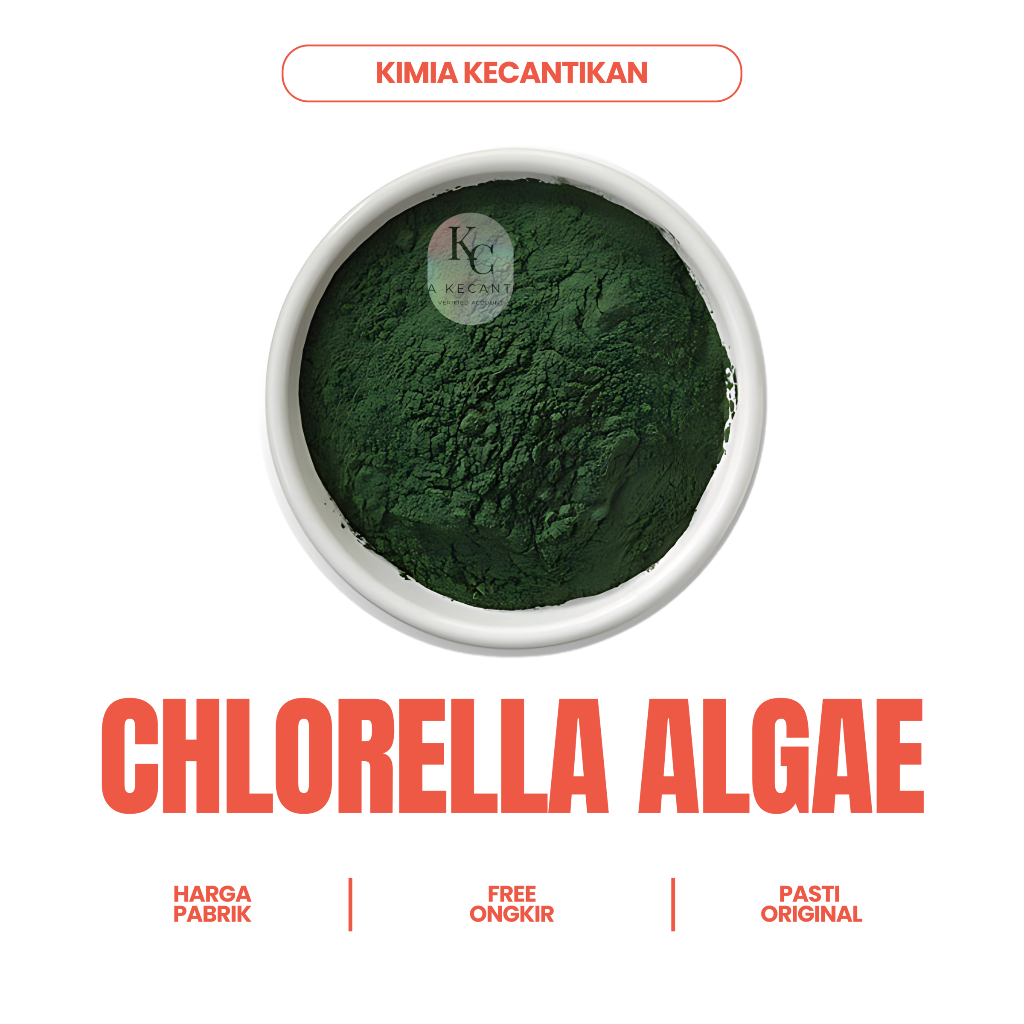 Chlorella Algae Powder Kosmetik Grade Bubuk Ganggang Klorella 10gr