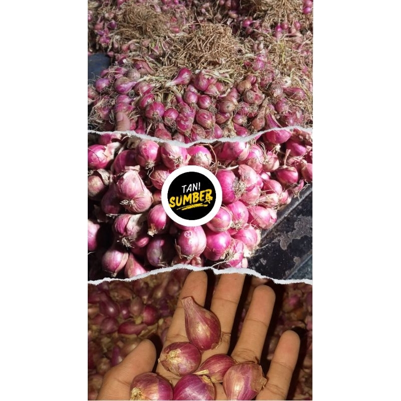 

bawang merah probolinggo(campur : besar&sedang)