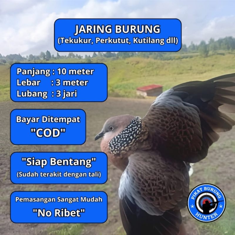 JARING BURUNG TEKUKUR JALA JARING BURUNG TEKUKUR JARING JALA PIKAT SEMUA BURUNG BESAR PROMO JARING M