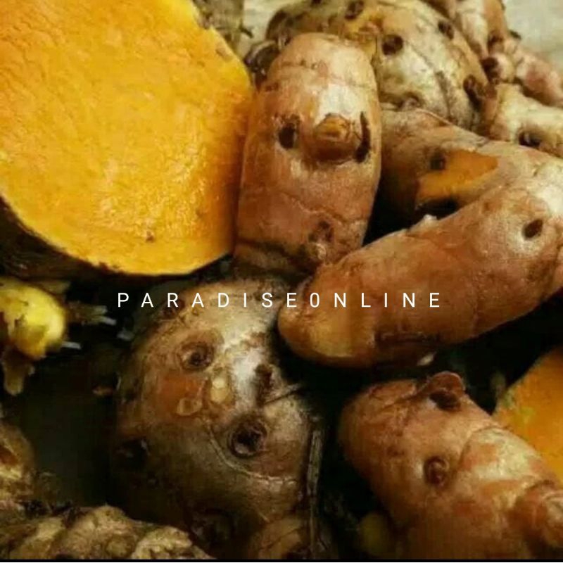 

temu lawak segar/kunyit besar 500 gram