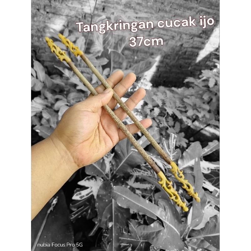 tangkringan asem Bali premium cucak ijo cucak jenggot ,kenari,cucak cungkok dll panjang 37 cm