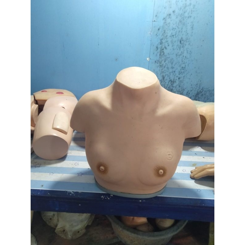 phantom payudara