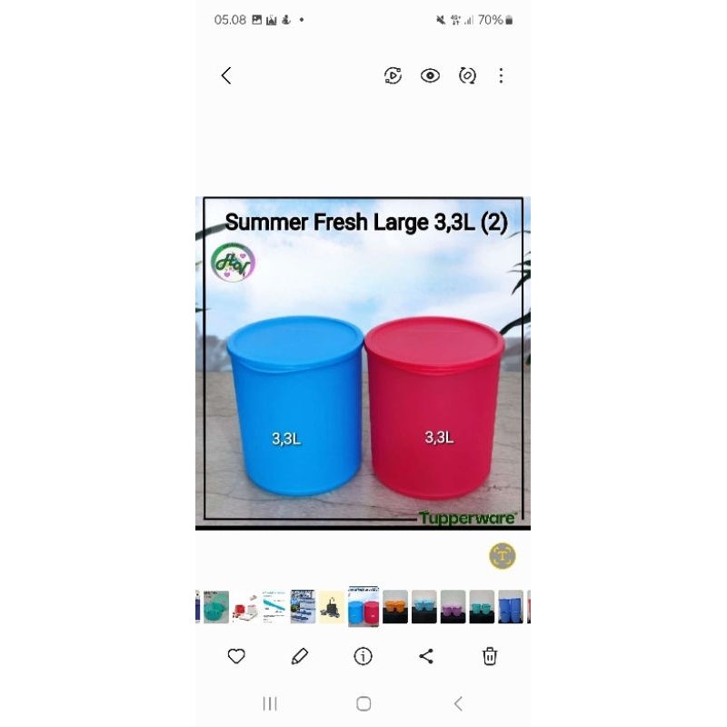 large summer fresh(2)3.3L tupperware