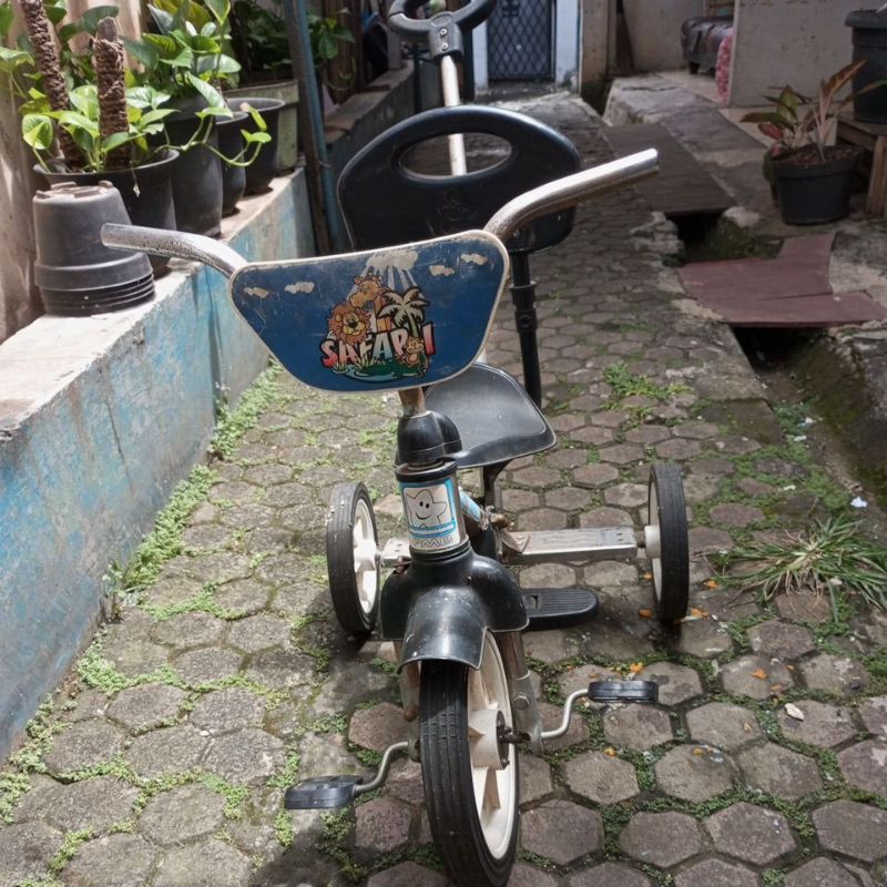 Prelove Safari Sepeda Anak PMB roda 3