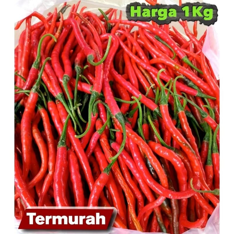 

PROMO KRITING RAMPING FRESH 1kg