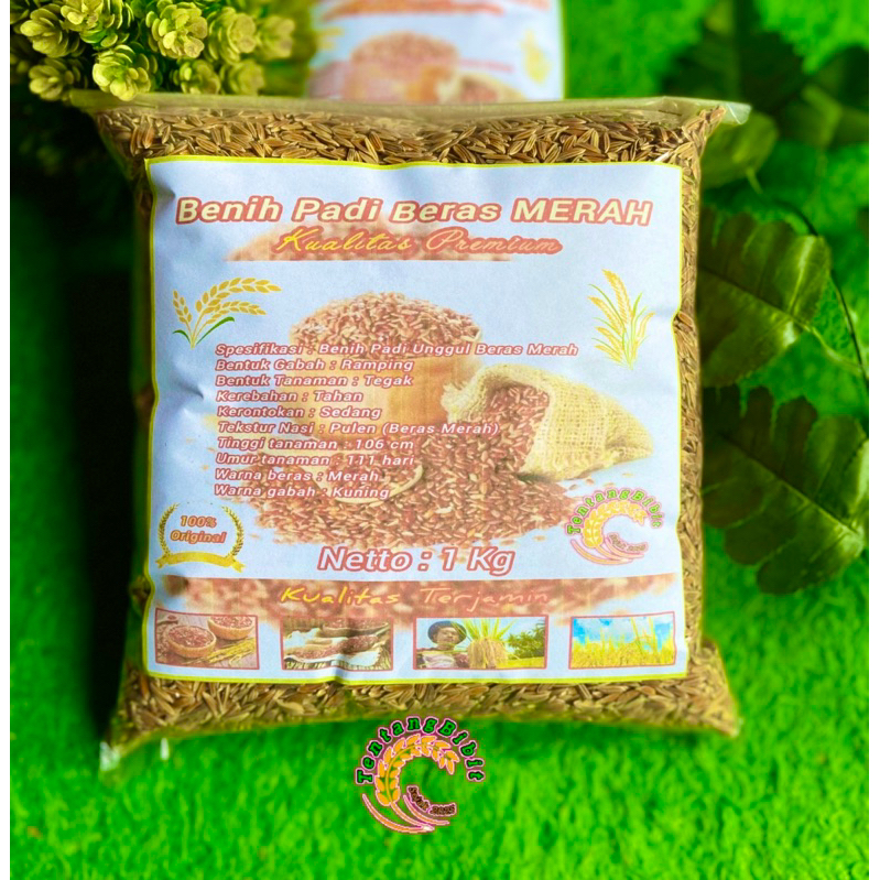 Lintang Gardening Benih Beras Merah / Bibit Padi Beras Merah 1 Kg