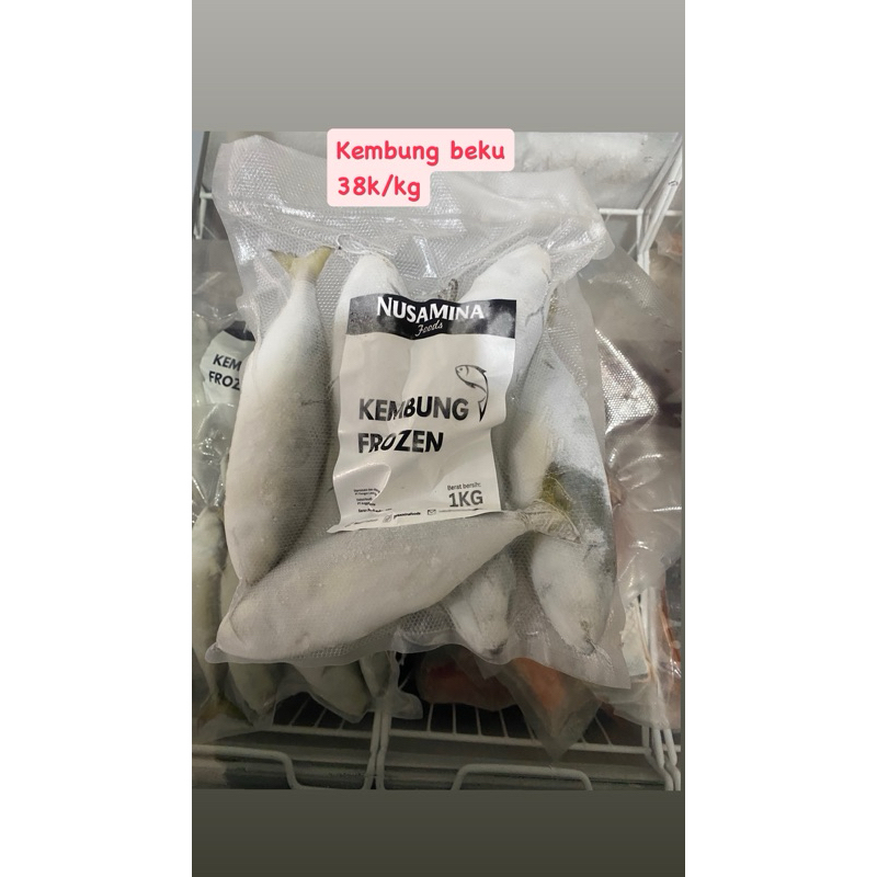 

kembung beku