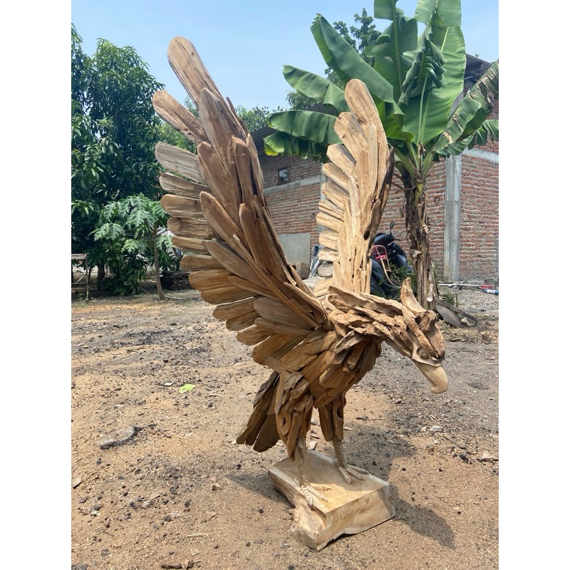 burung elang limbah kayu jati