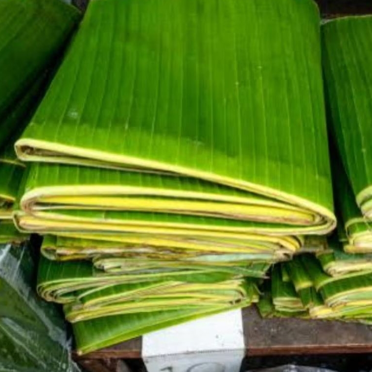 

Daun pisang batu segar tekstur alot 1 kg