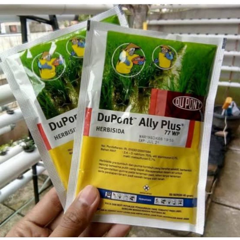 Herbisida Dupont Ally plus 77wp 40gram