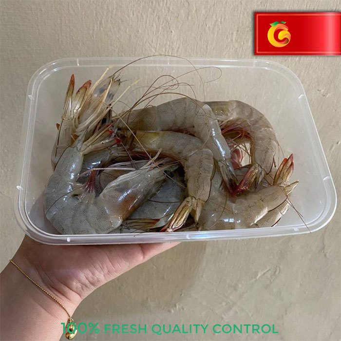 

Udang Fresh 250 Gram