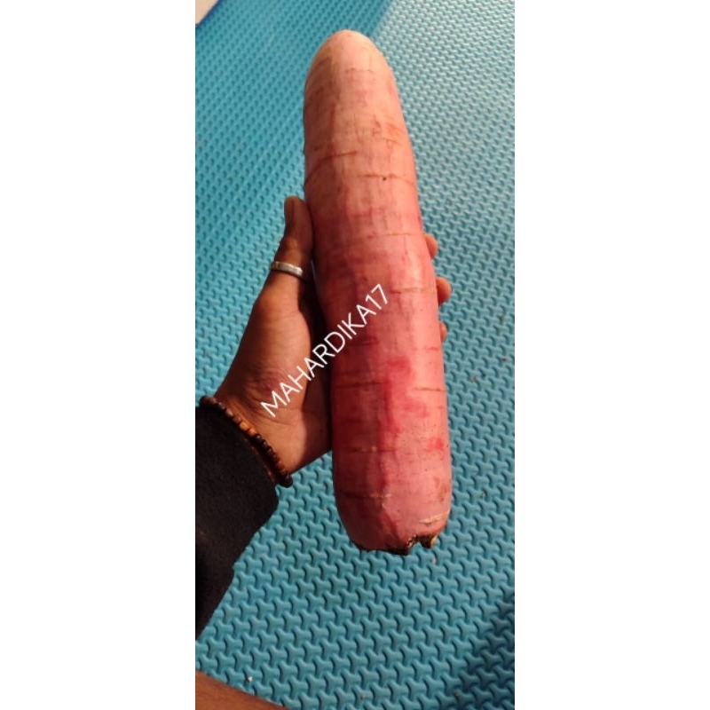 

SINGKONG PERMAS 1 KG