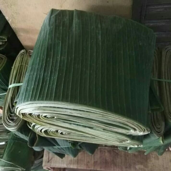

Daun Pisang Muda Tua 1 Kempit Lepit Kompet Isi 8 Lembar Daon Bungkus Kue Makanan Banana Leaf Daun Pisang Lembar Per Ikat Iket Banana Leaf