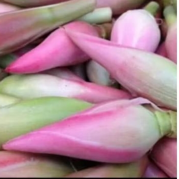 

Kecombrang untuk masakan 250 gr