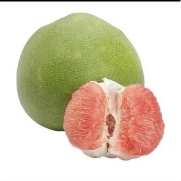 

JERUK BALI BUAH MUSIMAN