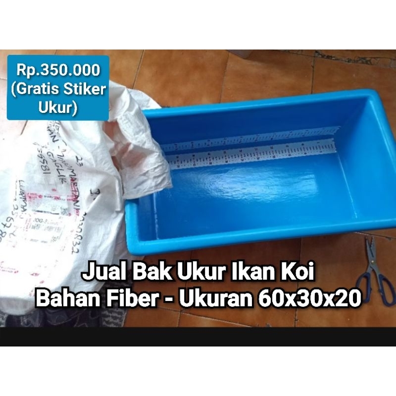 Bak Ukur Ikan Koi Bahan Fiber