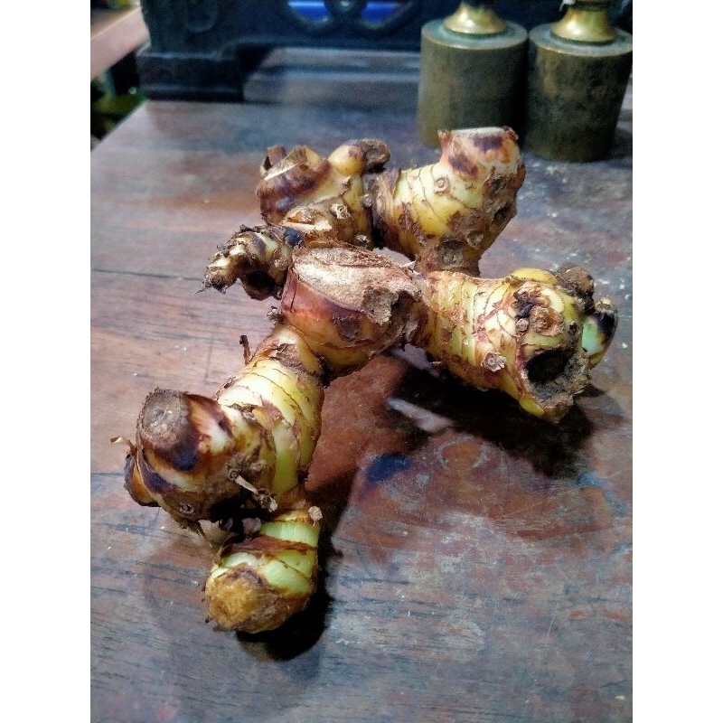 

lengkuas fresh 1 ons