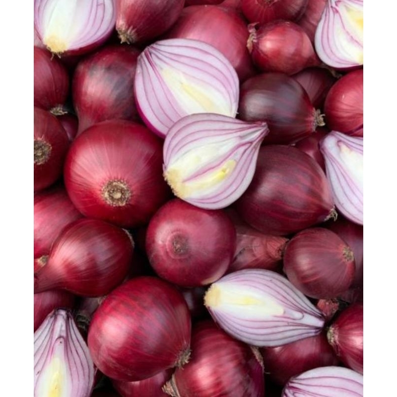 

Bawang Merah Kualitas Super