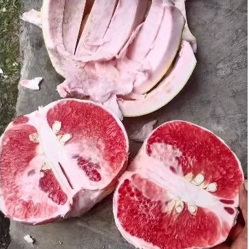 

JERUK BALI ORGANIK 1kg - 1,1 kg Pamelo Merah