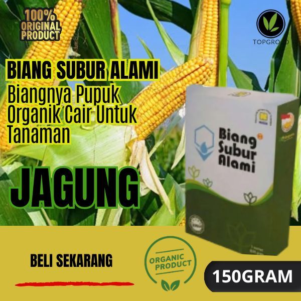Biang Subur Alami / Pupuk Organik Biang Subur Alami Nasa / Pupuk Organik Untuk Tanaman Jagung /Nasa