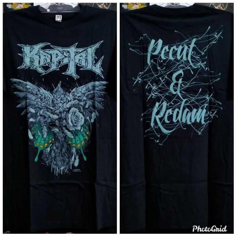 Ts kapital - pecut dan redam