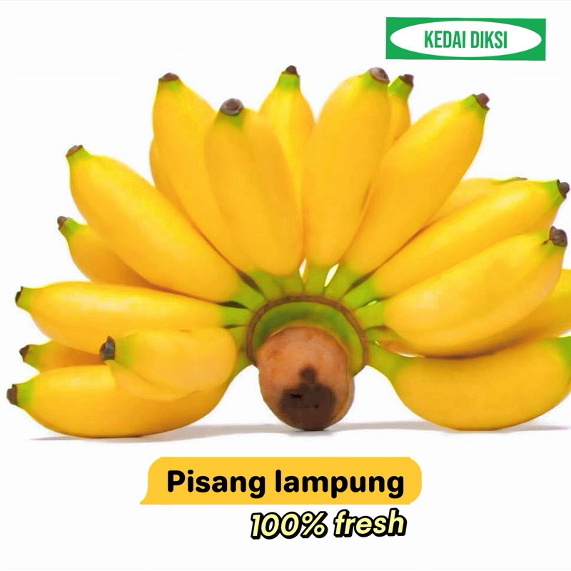 

PISANG LAMPUNG MANIS 1 SISIR