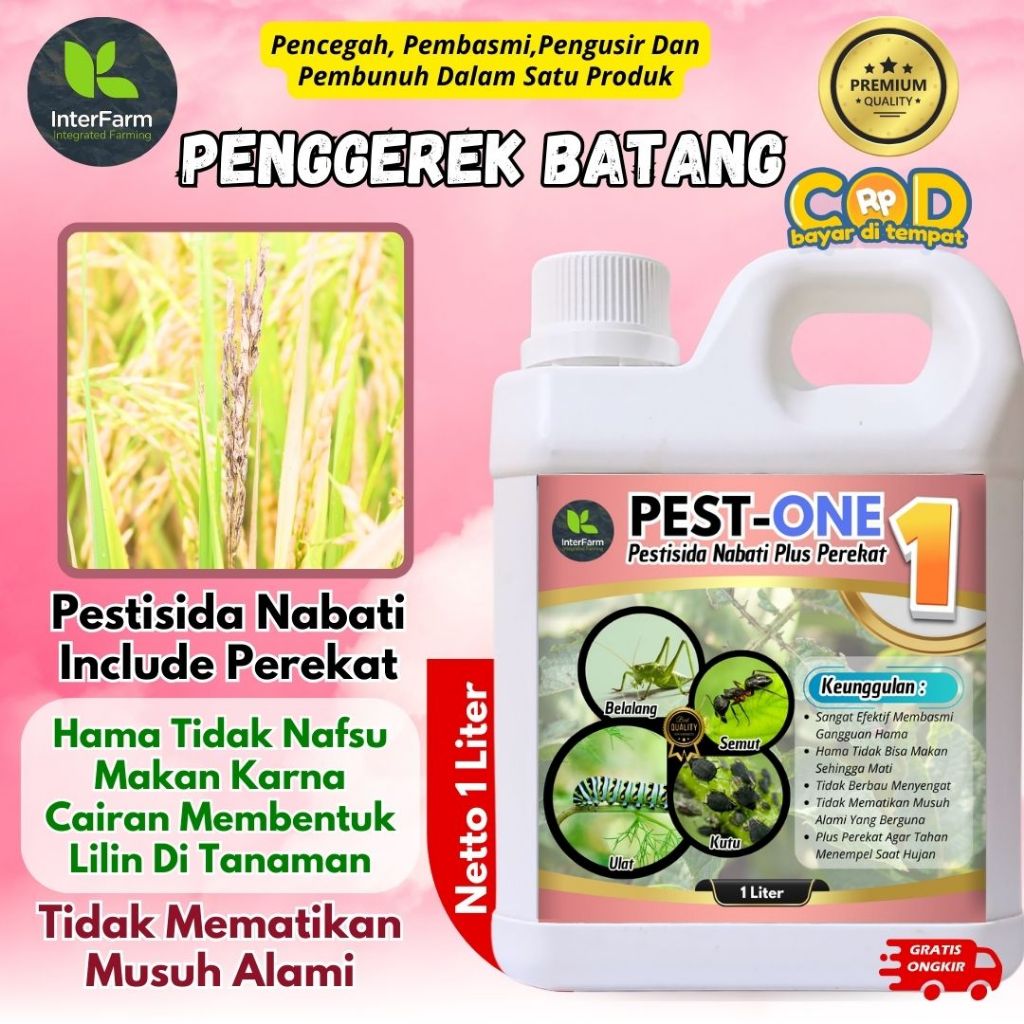 Obat Hama Penggerek Batang/ Pestisida Nabati | Obat Penggerek Batang Ampuh /Antihama PESTONE 1 Liter
