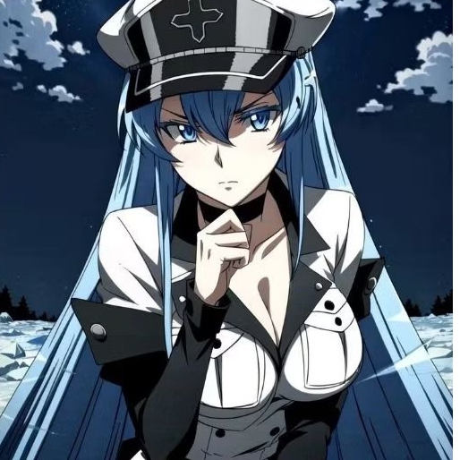 link co rent costum esdeath