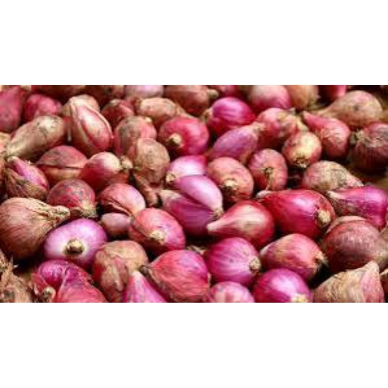 

BAWANG MERAH/FRESH QUALITY