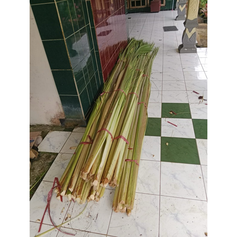 

janur bahan ketupat
