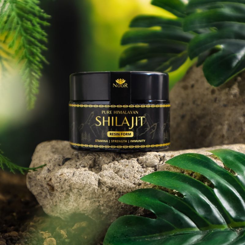 

NooR Shilajit Pure Himalayan | 25gr-30gr | Stamina & Immunity Booster | Improve Vitality