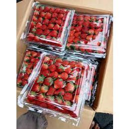 

Buah Strawberry Jumbo 1 kg khusus instan