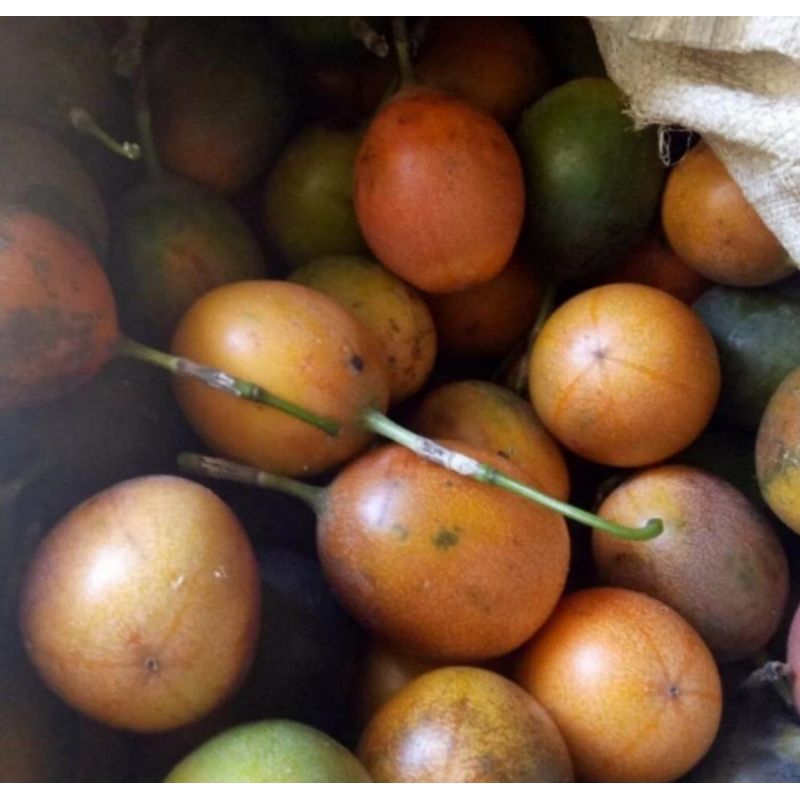 markisah madu 500g