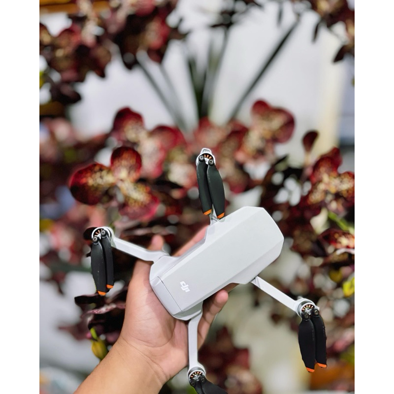 dji mavic mini se2 bukan dji mavic mini 3 bukan dji mavic 3 pro bukan dji mavic 4 pro
